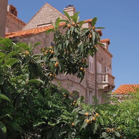 Old Town Green Oasis House Dubrovnik Dış mekan fotoğraf