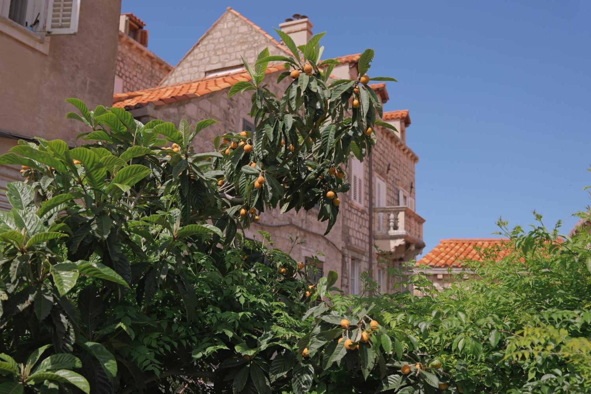 Old Town Green Oasis House Dubrovnik Dış mekan fotoğraf